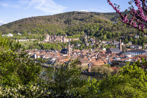 Deutschland, Baden-Württemberg, Heidelberg, Altstadtgebäude mit Neckar im Vordergrund und Heidelberger Schloss im Hintergrund - EGBF00986