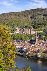 Deutschland, Baden-Württemberg, Heidelberg, Altstadtgebäude mit Neckar im Vordergrund und Heidelberger Schloss im Hintergrund - EGBF00987