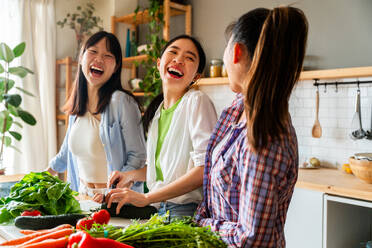 Glücklich schöne chinesische Frauen Freunde Bonding zu Hause und kochen köstliche Mahlzeit zusammen- Playful hübsche asiatische weibliche Erwachsene treffen und Spaß haben zu Hause, Konzepte über Lifestyle, häusliches Leben und Freundschaft - DMDF08030