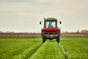 Landwirt im Traktor beim Düngen eines Weizenfeldes - NOF00842