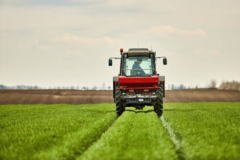 Landwirt im Traktor beim Düngen eines Weizenfeldes - NOF00842