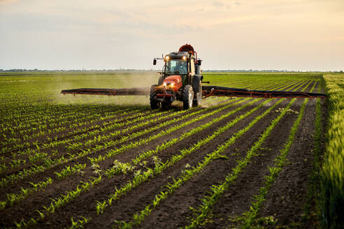 Landwirt im Traktor beim Düngen von Feldern bei Sonnenuntergang - NOF00845