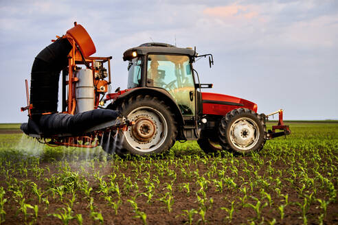 Landwirt im Traktor beim Sprühen von Dünger auf einem Maisfeld - NOF00848