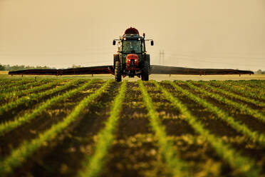 Landwirt im Traktor sprüht Dünger auf Mais bei Sonnenuntergang unter Himmel eingereicht - NOF00855