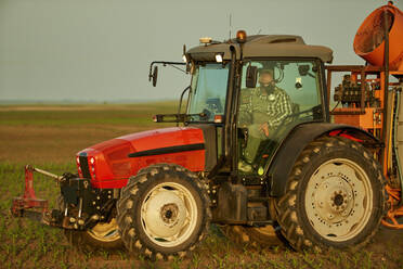 Landwirt sprüht Dünger mit Traktor auf Maisfeld bei Sonnenuntergang - NOF00857