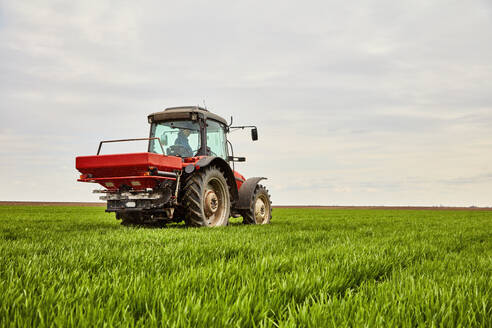 Landwirt fährt Traktor und sprüht Dünger auf ein Weizenfeld - NOF00859