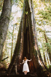 Eine Person in einem weißen Kleid steht ehrfürchtig vor einem uralten, hoch aufragenden Baum in den üppigen, sonnenüberfluteten Wäldern von Vancouver Island, British Columbia, und verkörpert die ruhige Majestät der Natur. Avatar Grove - ADSF50853