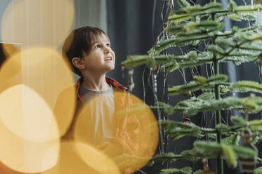 Glücklicher Junge bewundert Weihnachtsbaum zu Hause - ANAF02624