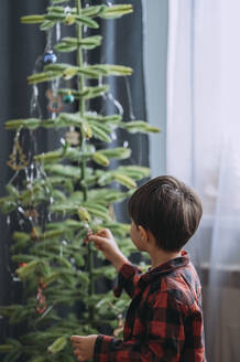 Junge schmückt Weihnachtsbaum zu Hause - ANAF02625