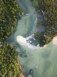 Luftaufnahme von Booten, die am Fluss entlang des Palolem-Strandes angedockt sind, Goa, Indien. - AAEF24717