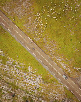 Luftaufnahme einer Schafherde auf dem Bergstraßenpass von La Pierre de San Martin, Nouvelle-Aquitaine, Frankreich. - AAEF24784