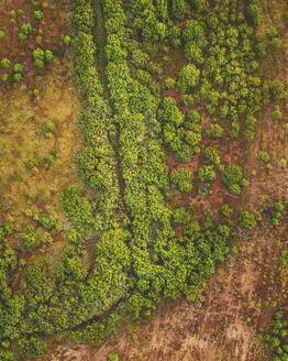 Luftaufnahme eines Waldwegs in der Nähe der Wüste Bardenas Reales, Tudela, Navarra, Spanien. - AAEF24812
