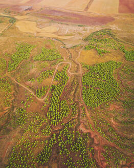Luftaufnahme eines Waldwegs in der Nähe der Wüste Bardenas Reales, Tudela, Navarra, Spanien. - AAEF24815