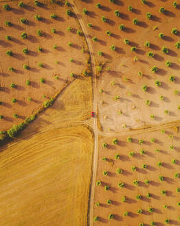 Luftaufnahme von landwirtschaftlichen Feldern bei Consuegra, Castilla la Mancha, Spanien. - AAEF24840
