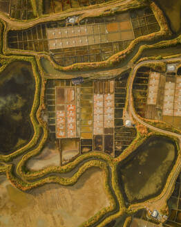 Aerial view of salt marshes at sunrise in Guérande, Loire-Atlantique, France. - AAEF24991