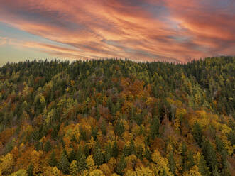 Luftaufnahme der Wälder im Herbst an einem Berghang in der Nähe von Graz bei Sonnenuntergang, Semriah, Steiermark, Österreich. - AAEF25050