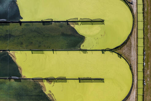 Aerial view of Parabel Nutrition Lemnature Aqua farms, an aquaculture facility, Fellsmere, Florida, United States. - AAEF25054