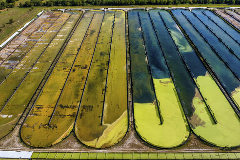 Aerial view of Parabel Nutrition Lemnature Aqua farms, an aquaculture facility, Fellsmere, Florida, United States. - AAEF25055