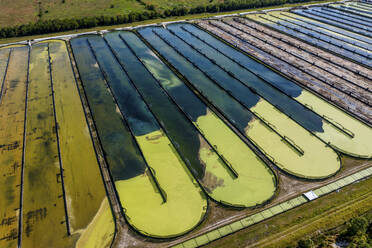Luftaufnahme der Parabel Nutrition Lemnature Aqua Farms, einer Aquakulturanlage, Fellsmere, Florida, Vereinigte Staaten. - AAEF25056