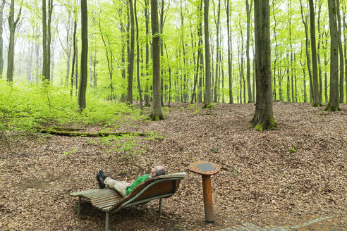 Älterer Mann ruht sich auf einer Bank in der Nähe von Bäumen im Wald aus - GWF07967