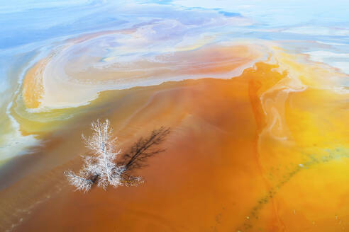 A surreal view of Riotinto's river showing swirling orange and yellow colors with a solitary white tree. - ADSF50954