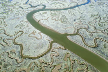 A bird's-eye view captures the sprawling, serpentine river channels carving through Huelva's lush wetlands - ADSF50968