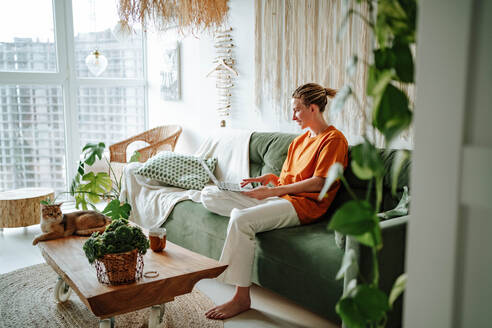 Side view of Young female freelancer smiling and working on project while sitting on comfortable sofa with cushions at home near adorable British shorthair golden cat lying on wooden table - ADSF51032