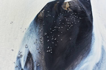 An aerial image capturing the stark contrast of a frozen river basin with birds in the snowy landscapes of Iceland - ADSF51065
