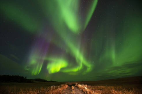 Stunning display of the aurora borealis illuminating the night sky above a rugged Icelandic landscape, with vibrant greens and purples - ADSF51067