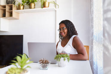 Focused mature woman wearing eyeglasses and using laptop while sitting at table with plants besides curtain at home - ADSF51181