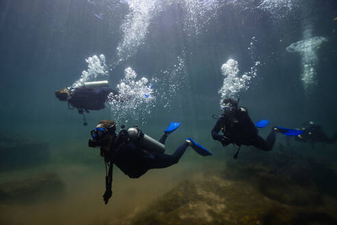 Scuba divers embark on an underwater adventure amidst the serene mangrove forests of Cancun, with sunbeams penetrating the water. - ADSF51226