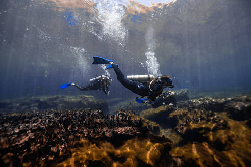 A diver explores the tranquil underwater world of mangroves in Cancun, Mexico, with sunbeams filtering through the water. - ADSF51229