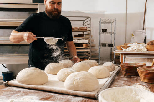 Focused male baker sifting flour on uncooked dough at wooden table while preparing fresh pastry in kitchen at bakery - ADSF51240