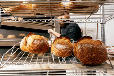 Bearded mature male baker taking out freshly baked loaves of delicious bread with crispy crust from oven with large metallic scapula in kitchen - ADSF51244