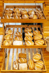 Various freshly baked tasty loaves of breads with crunchy crust placed on wooden shelves for display in bakery store - ADSF51253