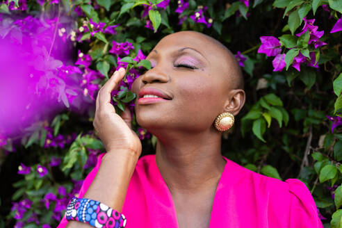 Portrait of Positive African American female with shaved head in stylish pink outfit with eyes closed touching bougainvillea bush while standing in park - ADSF51288