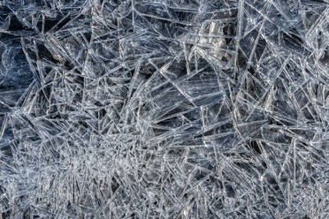 This image captures the complex patterns of ice crystals formed naturally, showcasing the beauty of winter's frosty art. - ADSF51585