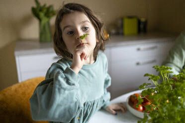 Portrait of cute adorable elementary girl in casuals smelling coriander and looking away while preparing salad at home - ADSF51603