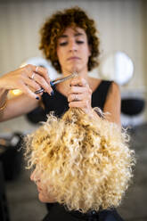 Professional hairstylist cutting curly blond hair with focus on scissors and strands. - ADSF51694