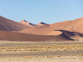 A captivating view of the serene desert landscape in Namibia, showcasing the smooth curves and rich textures of the sand dunes under a clear blue sky - ADSF51695