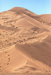 A tranquil scene unfolds with the soft, flowing lines of the Namibian Desert dunes under clear blue sky - ADSF51705