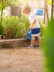 Full body of anonymous little boy in casual watering fresh green plants with can in garden during summer vacation - ADSF51716