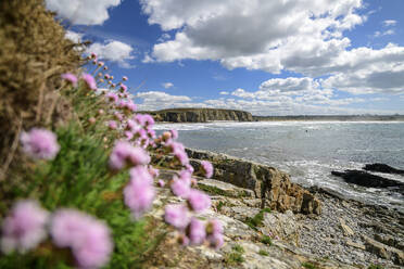 Frankreich, Bretagne, Strand Plage de Goulien mit blühenden Wildblumen im Vordergrund - ANSF00653