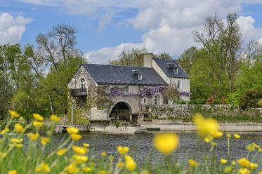 Frankreich, Centre-Val de Loire, Haus am Fluss im Loire-Tal - ANSF00682