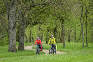 France, Centre-Val de Loire, Man and woman cycling through green park in summer - ANSF00686