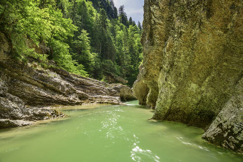 Austria, Tyrol, Brandenberger Ache river flowing through Tiefenbach Gorg in summer - ANSF00705