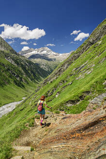 Österreich, Tirol, Wanderin in den Zillertaler Alpen - ANSF00715