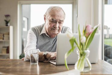Älterer Mann benutzt Laptop zu Hause - UUF30869