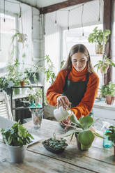 Smiling botanist watering plants at table in store - OLRF00013