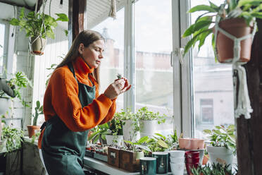 Botanist examining plant in store - OLRF00019